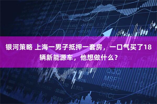 银河策略 上海一男子抵押一套房，一口气买了18辆新能源车，他想做什么？